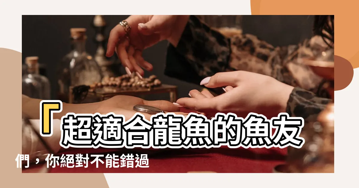 【可以跟龍魚一起養的魚】「超適合龍魚的魚友們，你絕對不能錯過！」