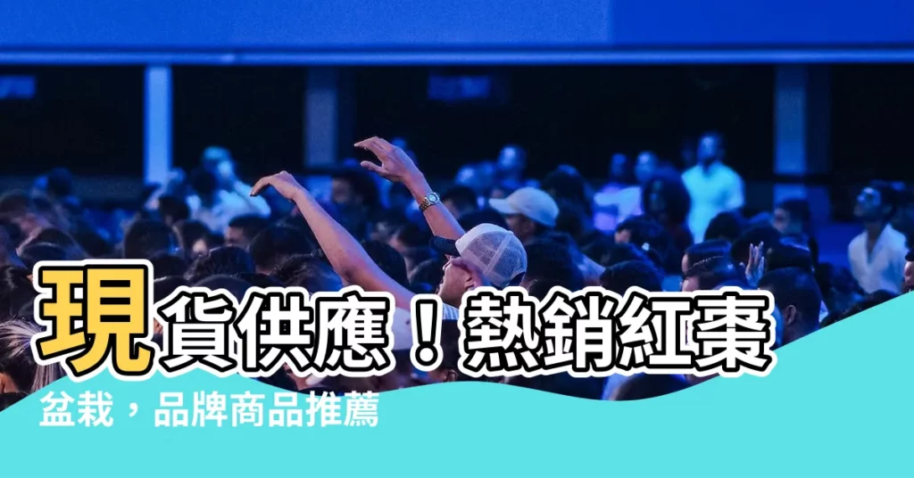 【紅棗盆栽】現貨供應！熱銷紅棗盆栽，品牌商品推薦