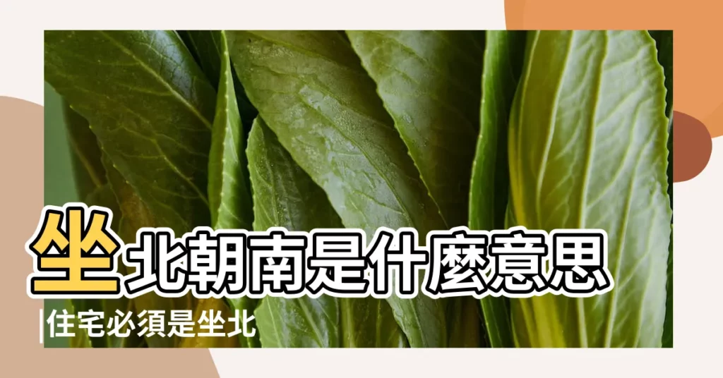 坐北朝南是什麼意思 |住宅必須是坐北朝南的嗎 |房子坐北朝南是什麼意思 |【坐北朝南 意思】