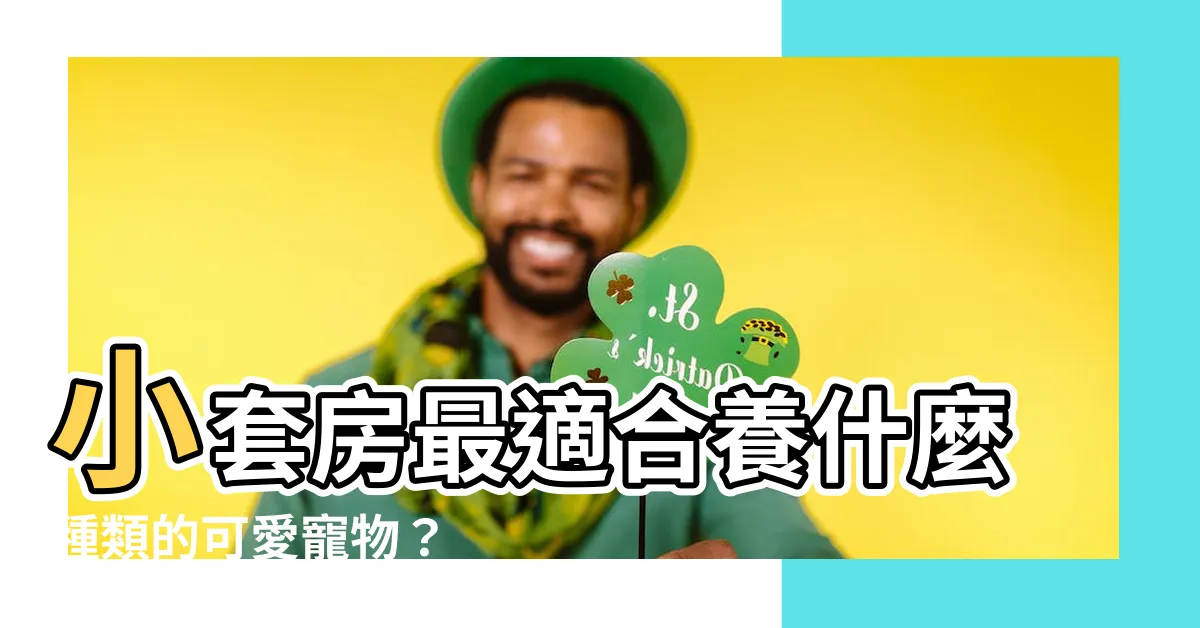 【小套房適合養什麼寵物】小套房最適合養什麼種類的可愛寵物？