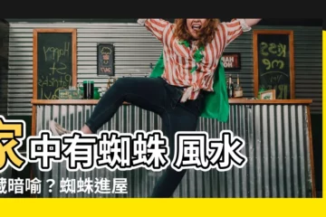 【家中有蜘蛛 風水】家中有蜘蛛 風水 竟藏暗喻？蜘蛛進屋好預兆？