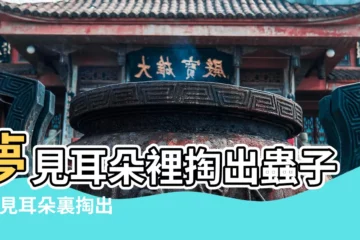 【夢見掏耳朵飛出蟲子】夢見耳朵裡掏出蟲子 |夢見耳朵裏掏出蟲子 |夢見耳朵裏掏出蟲子 |