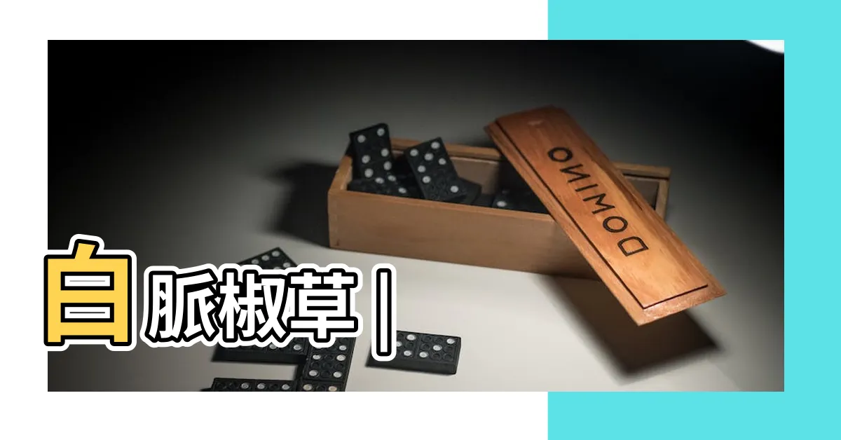 【多葉蘭照顧】白脈椒草 |