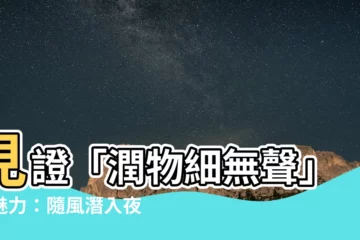 【潤物細無聲船過水無痕意思】見證「潤物細無聲」的魅力：隨風潛入夜，船過水無痕