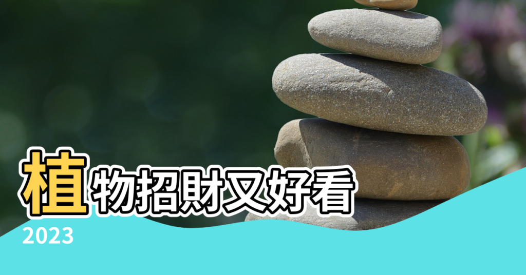 【風水擺設】植物招財又好看 |2023 |室內風水佈局 |