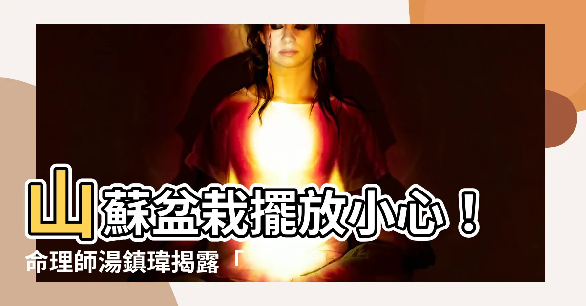【山蘇風水】山蘇盆栽擺放小心！命理師湯鎮瑋揭露「山蘇風水」五大禁忌