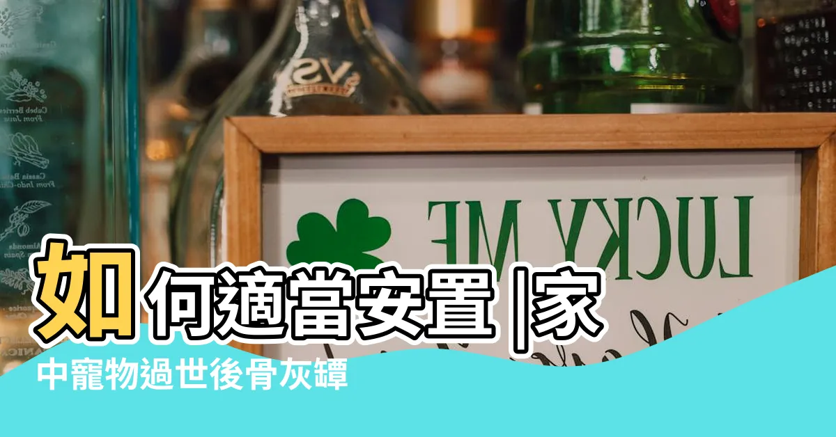 【寵物骨灰放家裡】如何適當安置 |家中寵物過世後骨灰罈該放家裡還是寵物靈骨塔 |完整釋疑一次看懂 |