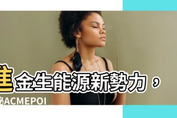 【進金生】進金生能源新勢力，揭秘ACMEPOINT進金生能源服務！