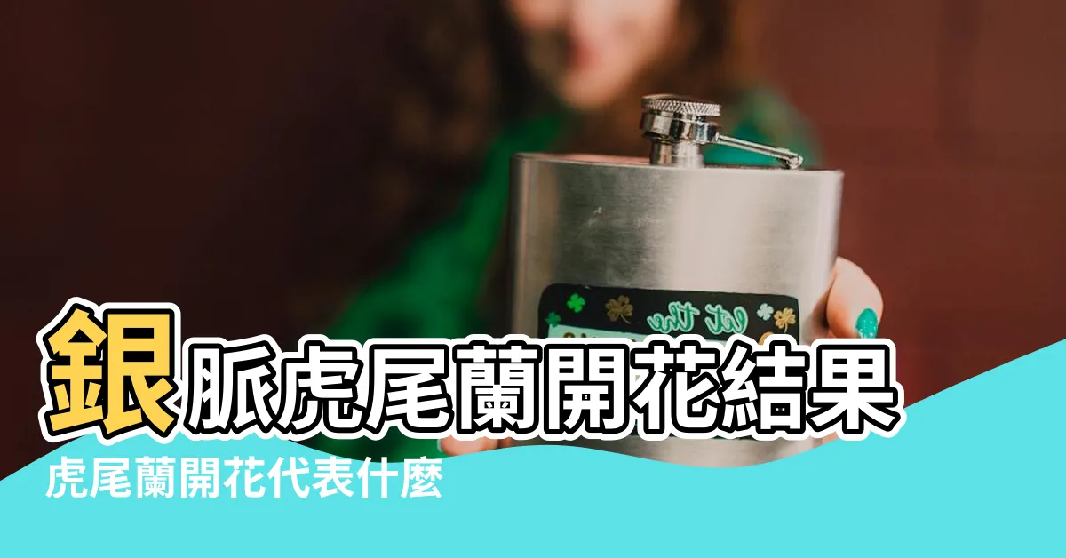 【銀後虎尾蘭開花】銀脈虎尾蘭開花結果虎尾蘭開花代表什麼寓意 |銀後虎尾蘭 |多肉圖鑑 |