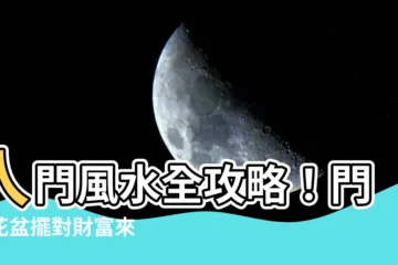【門口花盆】入門風水全攻略！門口花盆擺對財富來