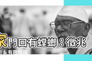 【家門口有螳螂】家門口有螳螂：徵兆解析 & 有趣知識