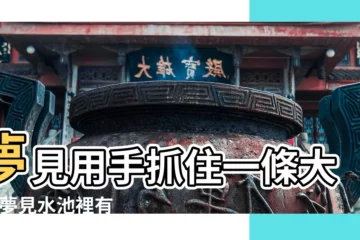 【夢見一條大魚笑】夢見用手抓住一條大魚 |夢見水池裡有一條大魚 |不是發橫財就是快升職 |