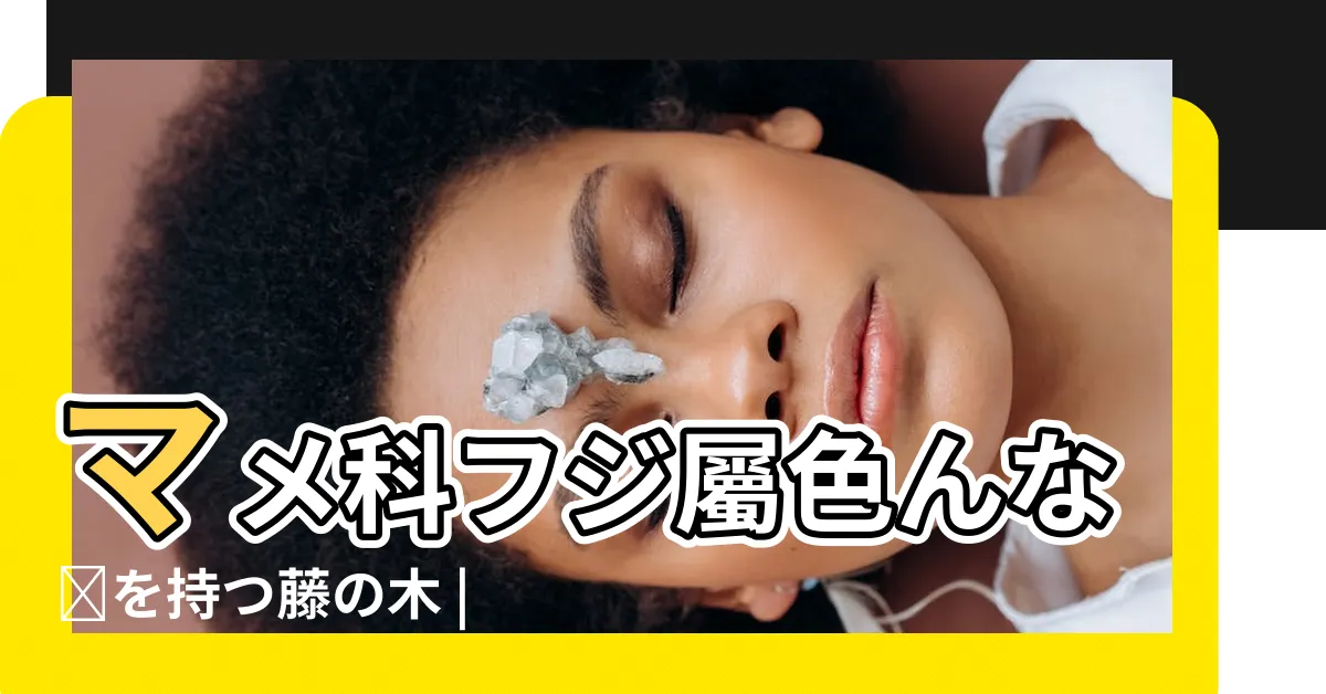 【藤科植物】マメ科フジ屬色んな顔を持つ藤の木 |