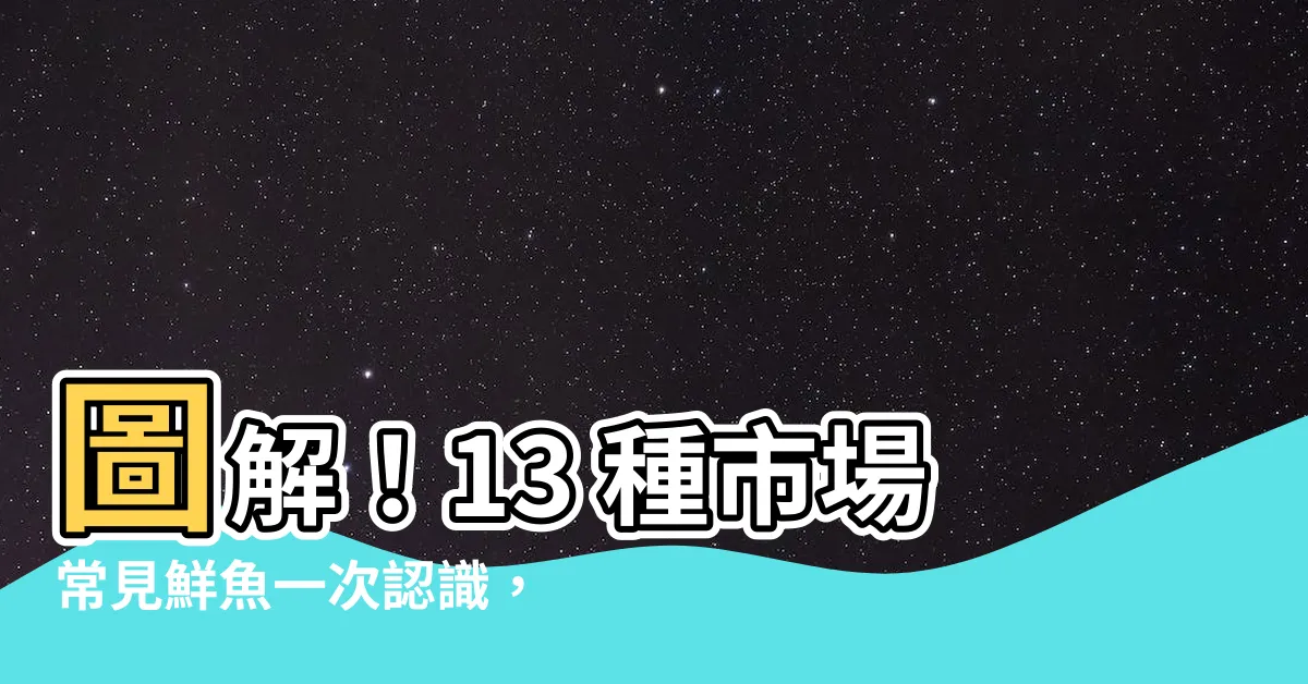 【魚有哪些】圖解！13 種市場常見鮮魚一次認識，瞭解魚有哪些？