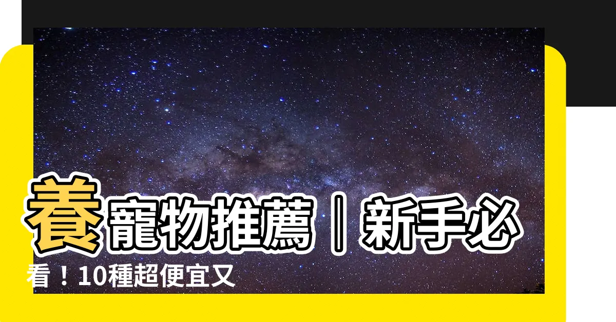 【養寵物推薦】養寵物推薦｜新手必看！10種超便宜又好養的居家小夥伴