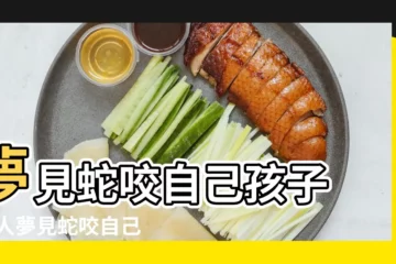【周公解夢夢到蛇要咬自己的孩子】夢見蛇咬自己孩子 |女人夢見蛇咬自己孩子有什麼預兆 |夢見自己孩子被蛇咬是什麼意思周公解夢 |