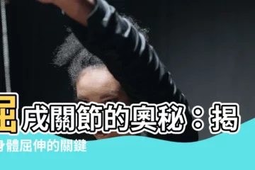 【屈戌關節】屈戌關節的奧秘：揭開身體屈伸的關鍵