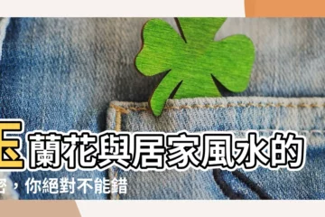 【家裡種玉蘭花】玉蘭花與居家風水的秘密，你絕對不能錯過！