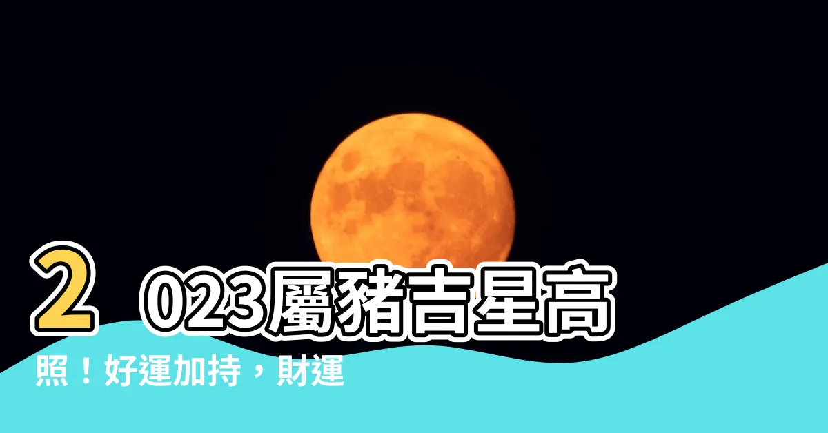 【2023屬豬吉星】2023屬豬吉星高照！好運加持，財運亨通、福星臨門