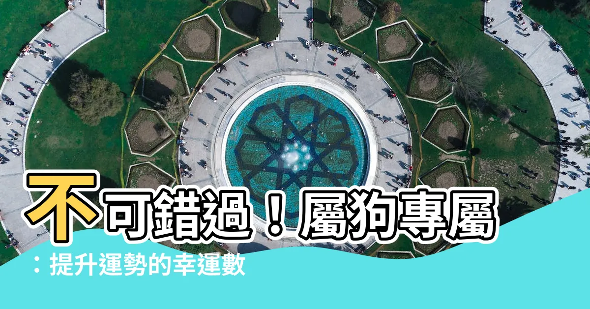 【屬狗幸運數字】不可錯過！屬狗專屬：提升運勢的幸運數字與色彩公開