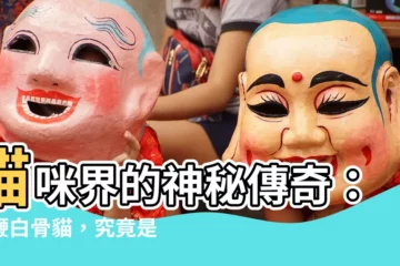 【髮鞭白骨貓】貓咪界的神秘傳奇：髮鞭白骨貓，究竟是傳説還是真實存在？