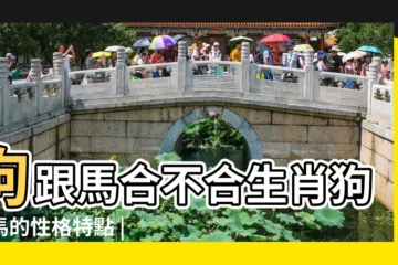 【屬馬和屬狗性格合不合】狗跟馬合不合生肖狗和馬的性格特點 |屬狗和屬馬婚姻相配嗎屬狗和屬馬的合不合財 |屬狗和屬馬的關係 |