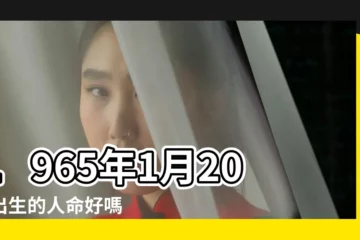 【1965年陰曆1月20日男】1965年1月20日出生的人命好嗎 |是什麼命 |出生日期1965年1月20日測命運 |