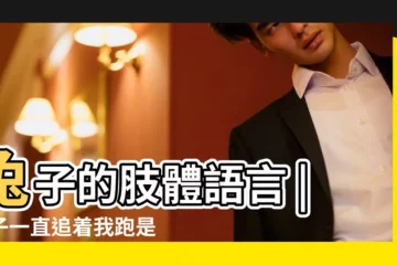 【兔子追人跑】兔子的肢體語言 |兔子一直追着我跑是怎麼了 |兔子的肢體語言 |