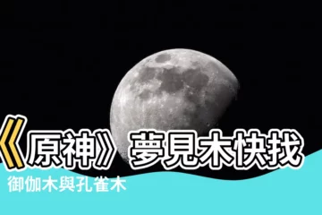 【夢見木 位置】《原神》夢見木快找齊！御伽木與孔雀木在哪砍？