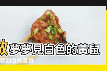 【夢見好多白色黃鼠狼】做夢夢見白色的黃鼠狼 |夢到白色黃鼠狼會怎麼樣 |