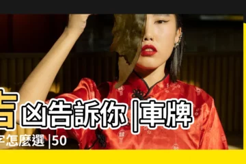 【手機選汽車號碼】吉凶告訴你 |車牌數字怎麼選 |50件測手機號碼 |
