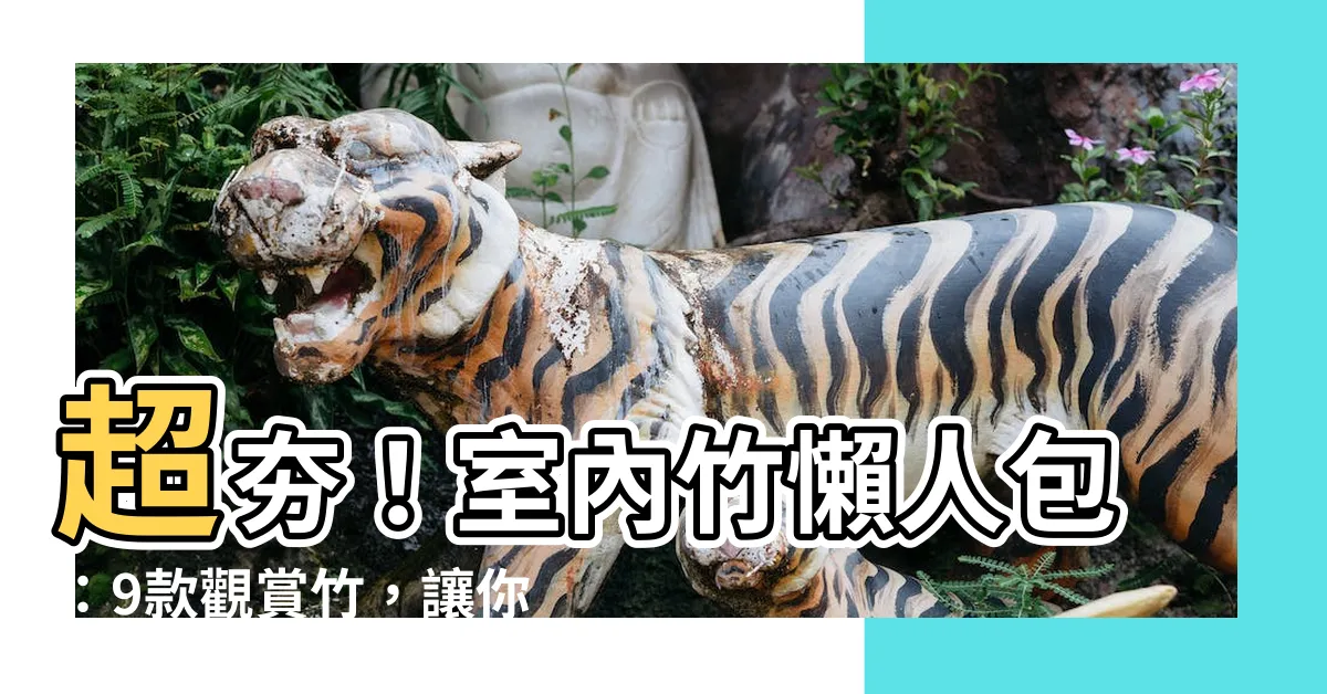 【室內竹】超夯！室內竹懶人包：9款觀賞竹，讓你的室內空間更添綠意