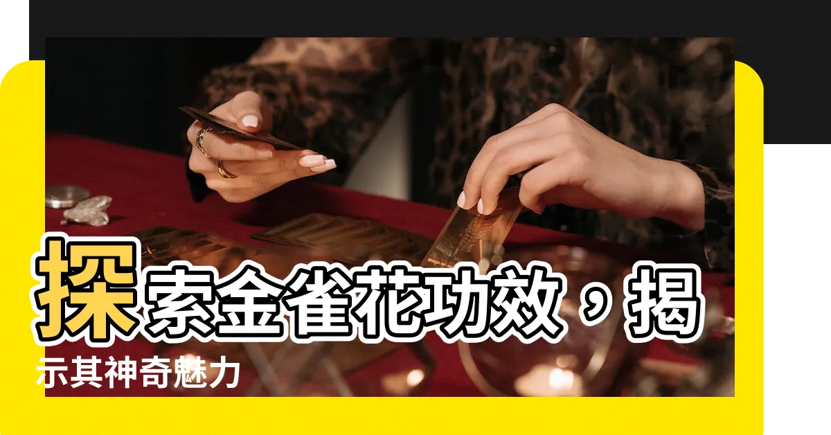 【金雀花功效】探索金雀花功效，揭示其神奇魅力