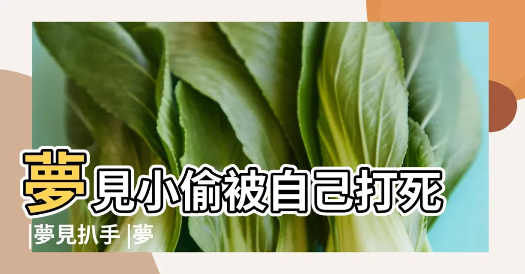 夢見小偷被自己打死 |夢見扒手 |夢見錢被偷走 |【夢見小偷把錢投了】