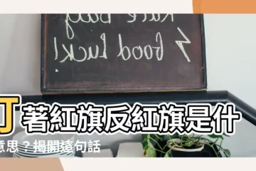 【打著紅旗反紅旗意思】打著紅旗反紅旗是什麼意思？揭開這句話背後的真實用意