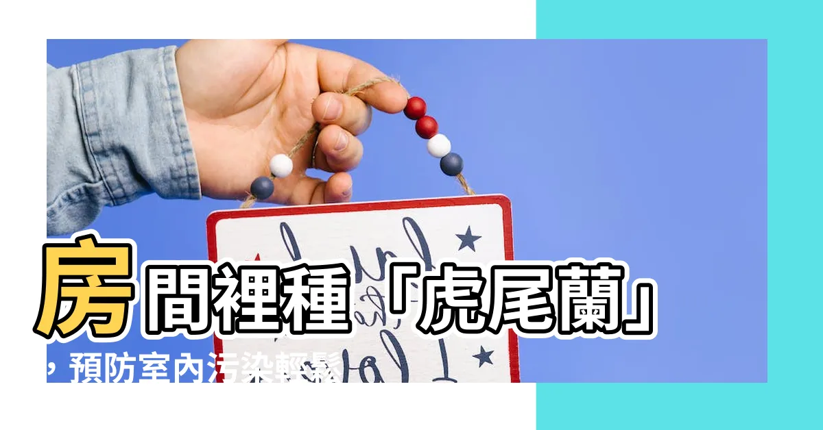 【虎尾蘭房間】房間裡種「虎尾蘭」，預防室內污染輕鬆又有效！
