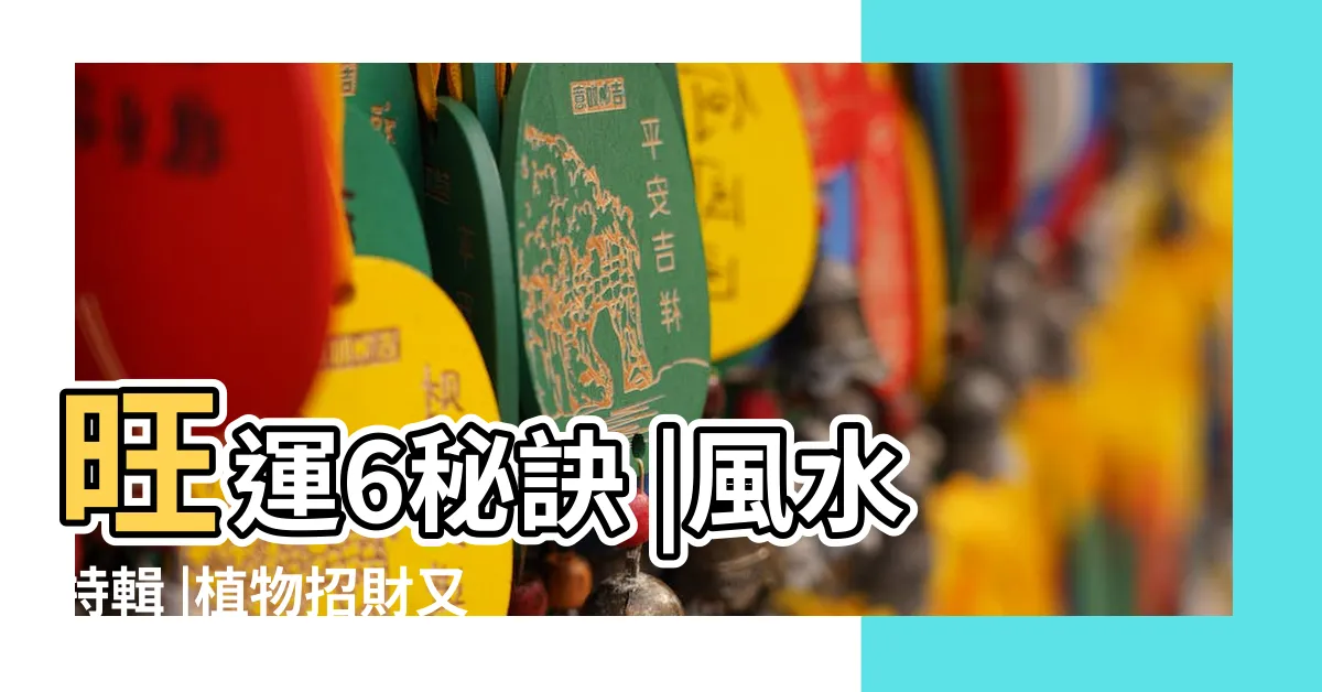 【家中財位擺設】旺運6秘訣 |風水特輯 |植物招財又好看 |