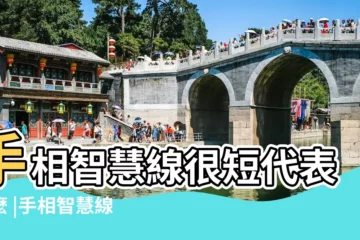 【智慧線很短的人】手相智慧線很短代表什麼 |手相智慧線短 |並非智商不夠 |