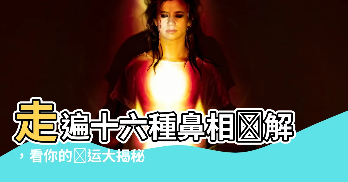 【鼻相圖解】走遍十六種鼻相圖解，看你的財運大揭秘！