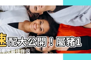 【生肖 1995】速配大公開！屬豬1995年次最佳伴侶是誰？