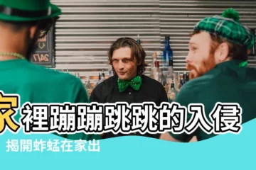【蚱蜢出現在家裡】家裡蹦蹦跳跳的入侵者！揭開蚱蜢在家出沒的驚人秘密