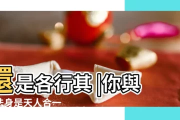 【天人合一 宇宙塔羅牌】還是各行其 |你與神法身是天人合一 |皇道塔羅牌 |