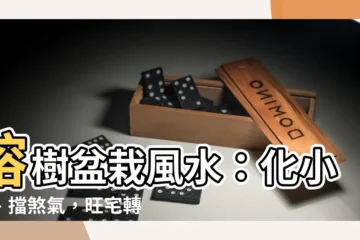 【榕樹盆栽風水】榕樹盆栽風水：化小人、擋煞氣，旺宅轉運就靠它！