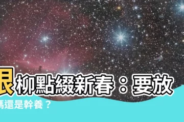 【銀柳要放水嗎】銀柳點綴新春：要放水嗎還是幹養？