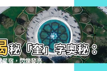 【奎意思】揭秘「奎」字奧秘：古代星宿，閃爍發亮之意