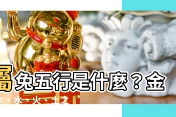 【屬兔 五行】屬兔五行是什麼？金、木、水、火、土之屬？