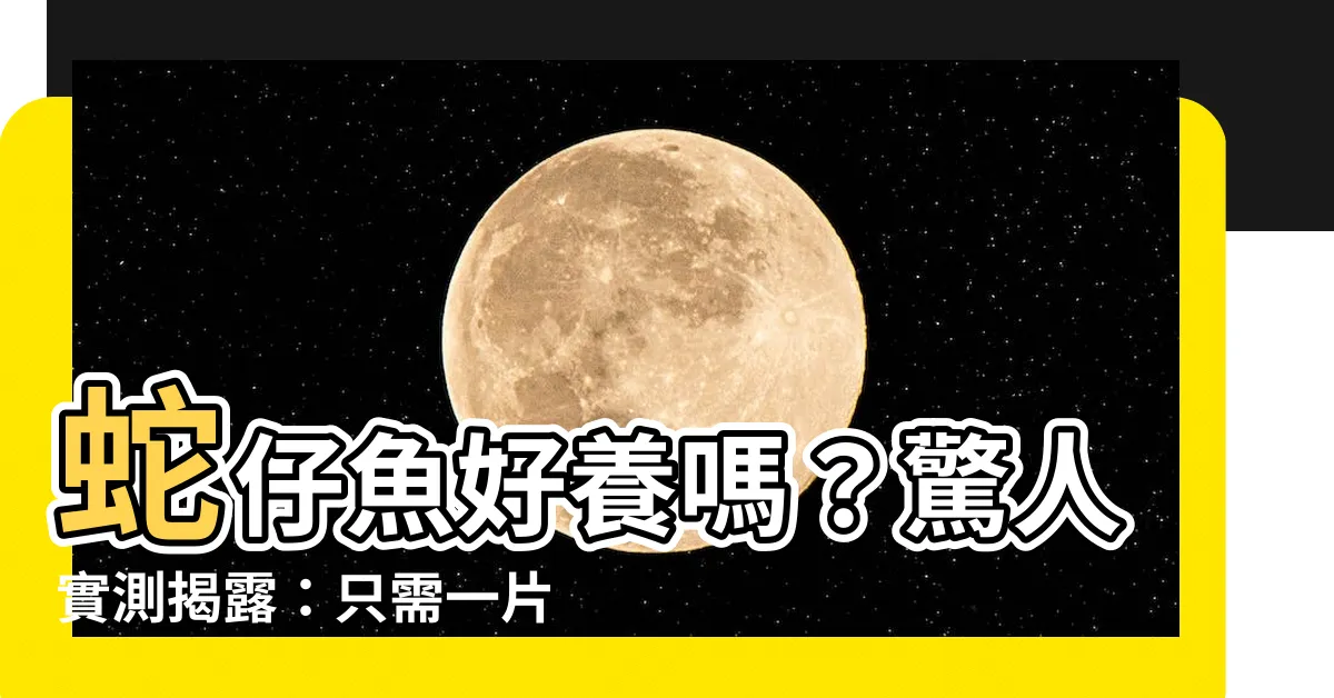 【蛇魚好養嗎】蛇仔魚好養嗎？驚人實測揭露：只需一片葉子，養出超級巨型水怪！