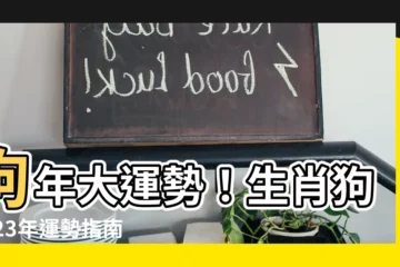 【生肖狗2023】狗年大運勢！生肖狗2023年運勢指南，把握兔年好運