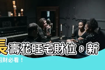 【長壽花財位】長壽花旺宅財位，新年招財必看！