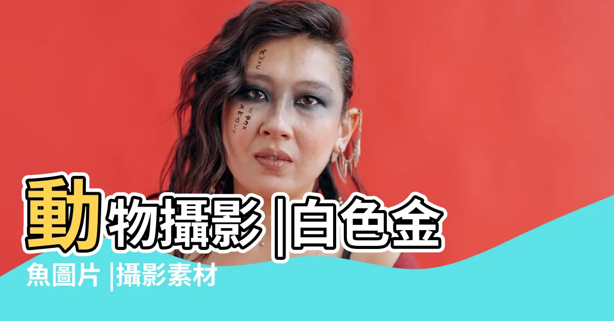 【白色金魚】動物攝影 |白色金魚圖片 |攝影素材 |